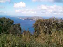 Tortola, besuch des Sage Mountain Nationalparks