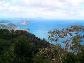 Tortola, besuch des Sage Mountain Nationalparks