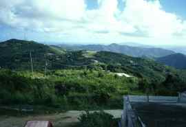 Tortola, besuch des Sage Mountain Nationalparks