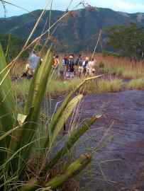 Antigua, Regenwaldwanderung