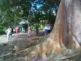 Antigua, Regenwaldwanderung