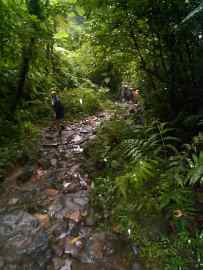 Besuch der Carbet-Wasserf&auml;lle