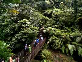 Besuch der Carbet-Wasserf&auml;lle