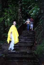 Besuch der Carbet-Wasserf&auml;lle