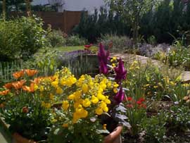 Blumenk&uuml;bel, 180 kB