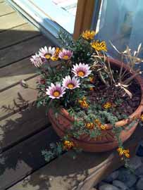 Blumenk&uuml;bel, 150 kB