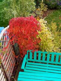 Russischer Wein, 215 kB