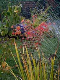 Zaubernu&szlig;, 252 kB