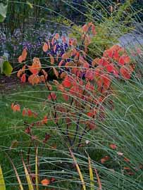 Zaubernu&szlig;, 267 kB