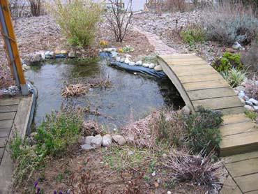 Garten Mitte Februar