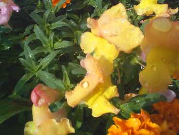 gh2003ier Express, 205 kB