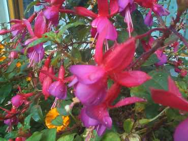 gh2003ier Express, 86 kB