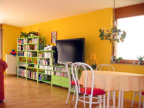 Regal und Fernsehecke